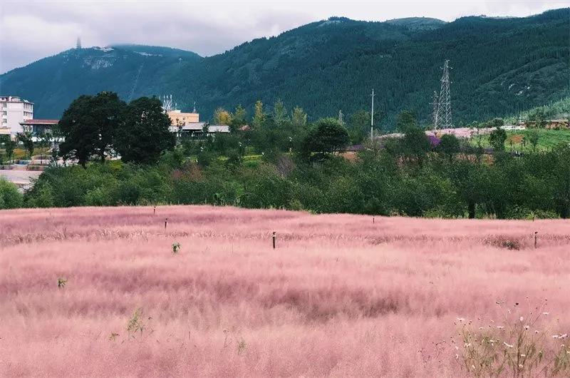 个旧阳山生态公园